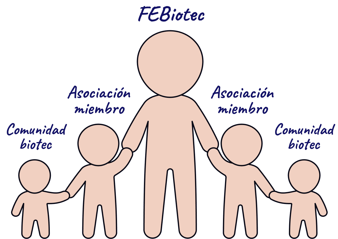 Jerarquía FEBiotec, asociaciones y comunidad