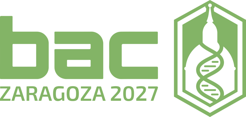 BAC Zaragoza 2027